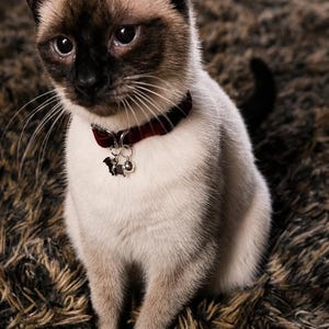 Harley ha añadido una foto de su compra