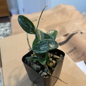 Berkys added a photo of their purchase