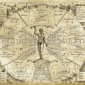 Merry ha añadido una foto de su compra