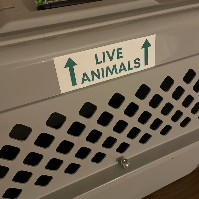 Live Animals Labels | Just 9.00 per Roll + FREE Shipping