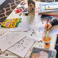 Maxident SKZOO Coloring Pages - Etsy Canada