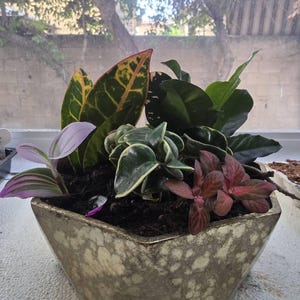 Comprador de Etsy ha añadido una foto de su compra