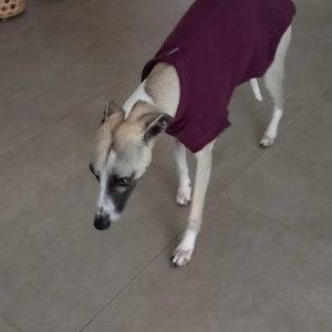 Martine added a photo of their purchase