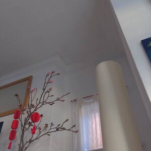 Caitlin added a photo of their purchase