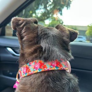 Alexandra added a photo of their purchase