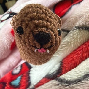Aida added a photo of their purchase