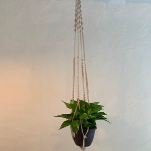 Elliot ha aggiunto una foto del proprio acquisto