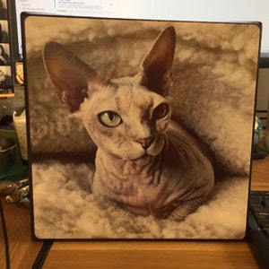 Etsy buyer added a photo of their purchase