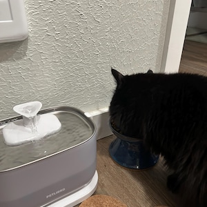 Gweneviere added a photo of their purchase