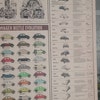 Morse Code Knowledge Poster, Language Poster, Morse Code Art, Morse ...