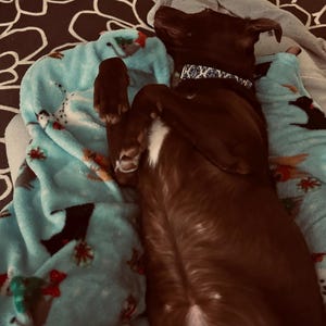 Laura added a photo of their purchase