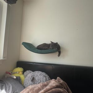 Jamie added a photo of their purchase