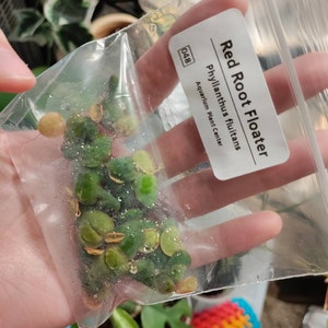 nina hat ein Foto des gekauften Artikels hinzugefügt