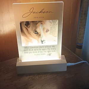 Kyle ha añadido una foto de su compra