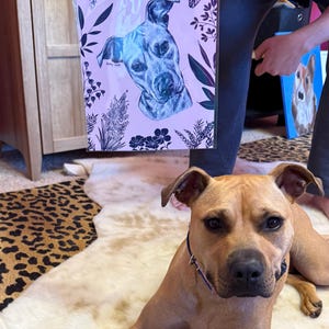 Amber added a photo of their purchase
