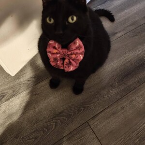 Shleelee added a photo of their purchase