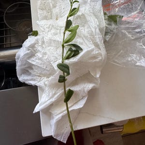 Nicole added a photo of their purchase