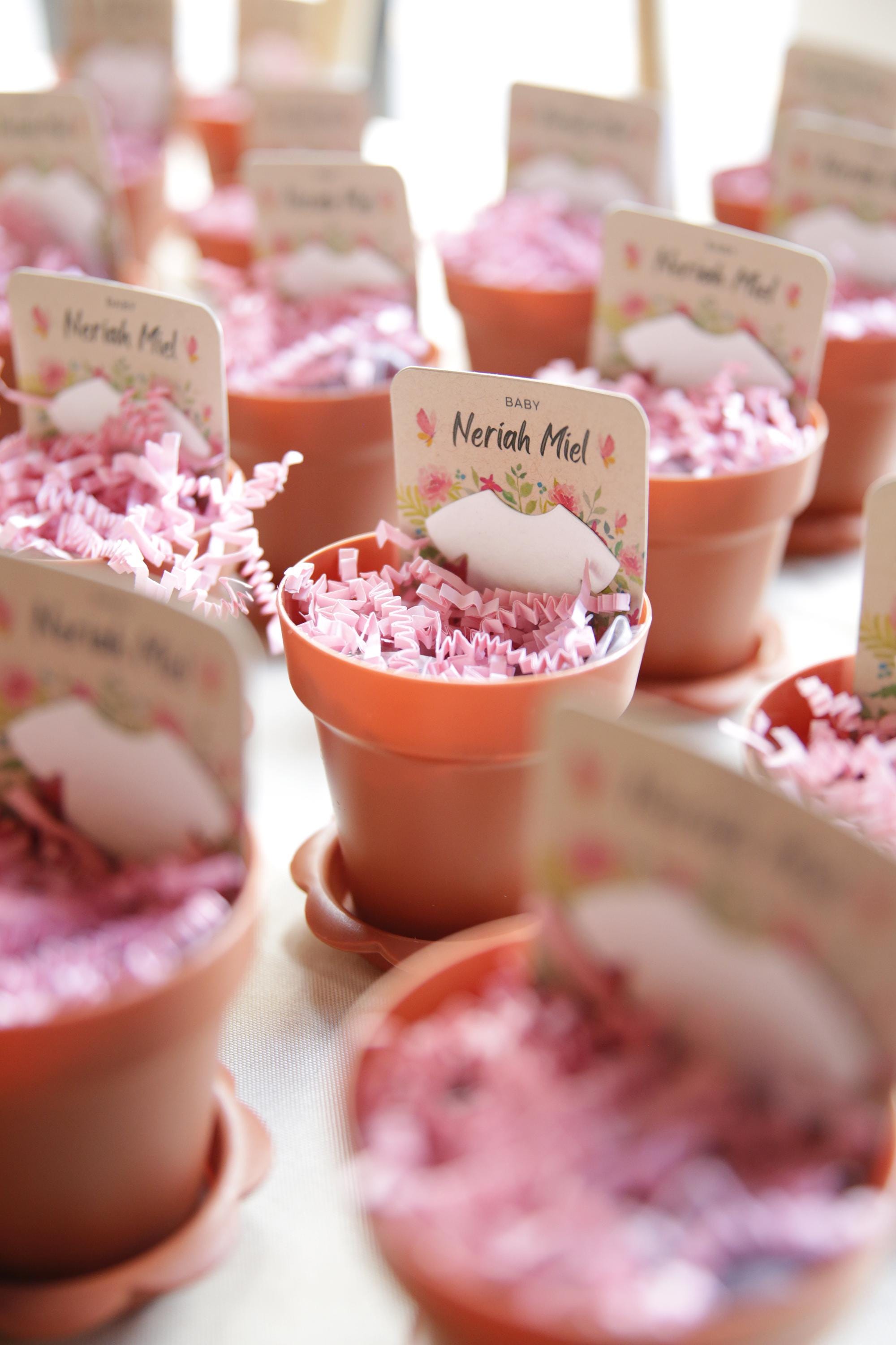 Baby In Bloom Baby Shower Favors For Guests - Wildflower Seed Packets Alternative - Good For Goodie Bags or Prizes