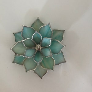 Carol added a photo of their purchase