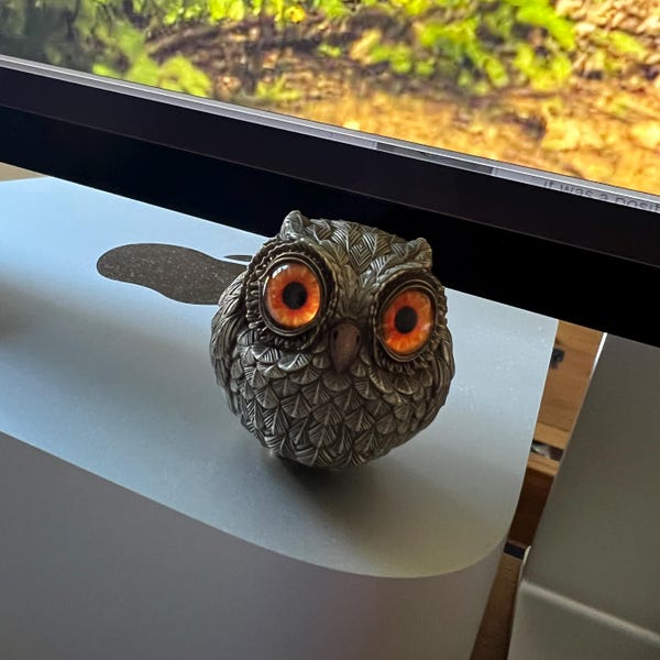 Solid Bronze Coiled Ball Python Figurine, Reptile Sculpture ...