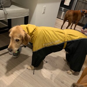 dog snowsuit with attached booties