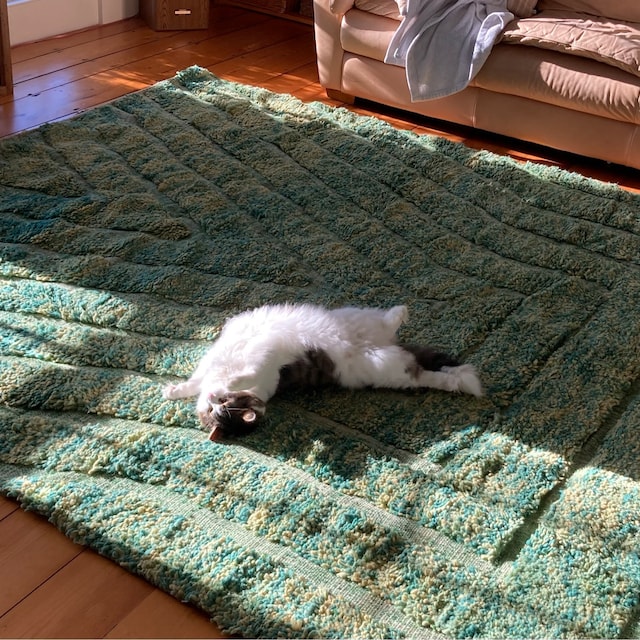 teal rug