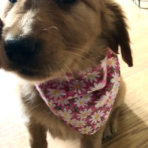 Kimberly added a photo of their purchase