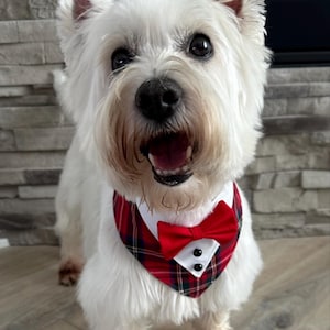 Jane added a photo of their purchase