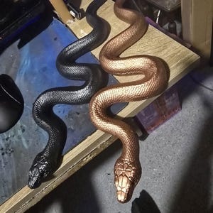 Andrew added a photo of their purchase