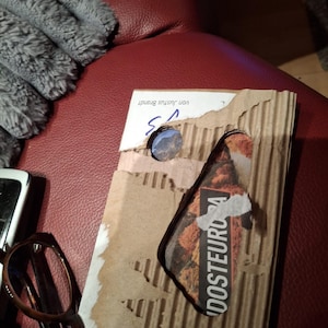 dolphin added a photo of their purchase