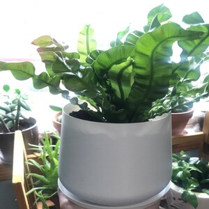 Michelle added a photo of their purchase