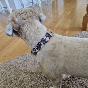 Shannon heeft een foto van de aankoop toegevoegd