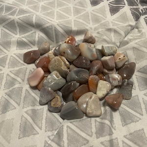 Kristina added a photo of their purchase