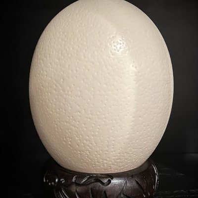 Special Blown Ostrich Egg & Eco Wood Stand - Etsy UK