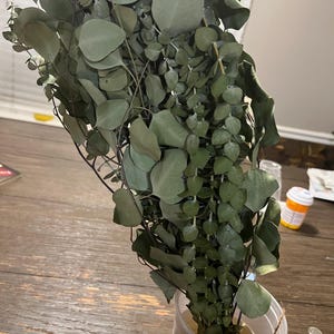 Earline added a photo of their purchase