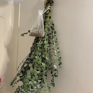 Marie added a photo of their purchase