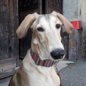 slouching hound collars