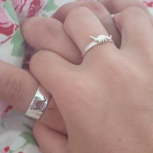 Dinosaur clearance matching rings