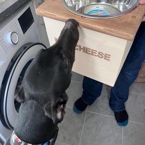 Olwen added a photo of their purchase