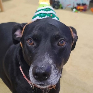 Janet ha añadido una foto de su compra