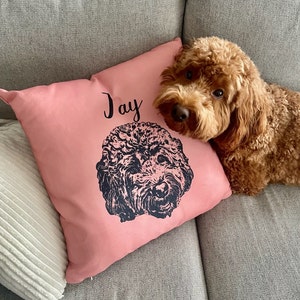 Haley added a photo of their purchase