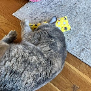 Nicole added a photo of their purchase