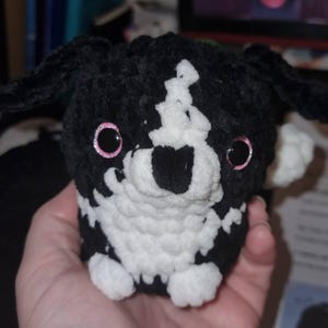 Rachel added a photo of their purchase