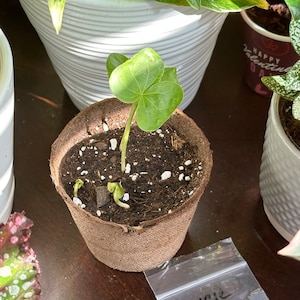 charm ha añadido una foto de su compra