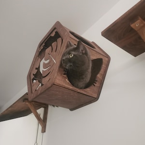 benjamin added a photo of their purchase