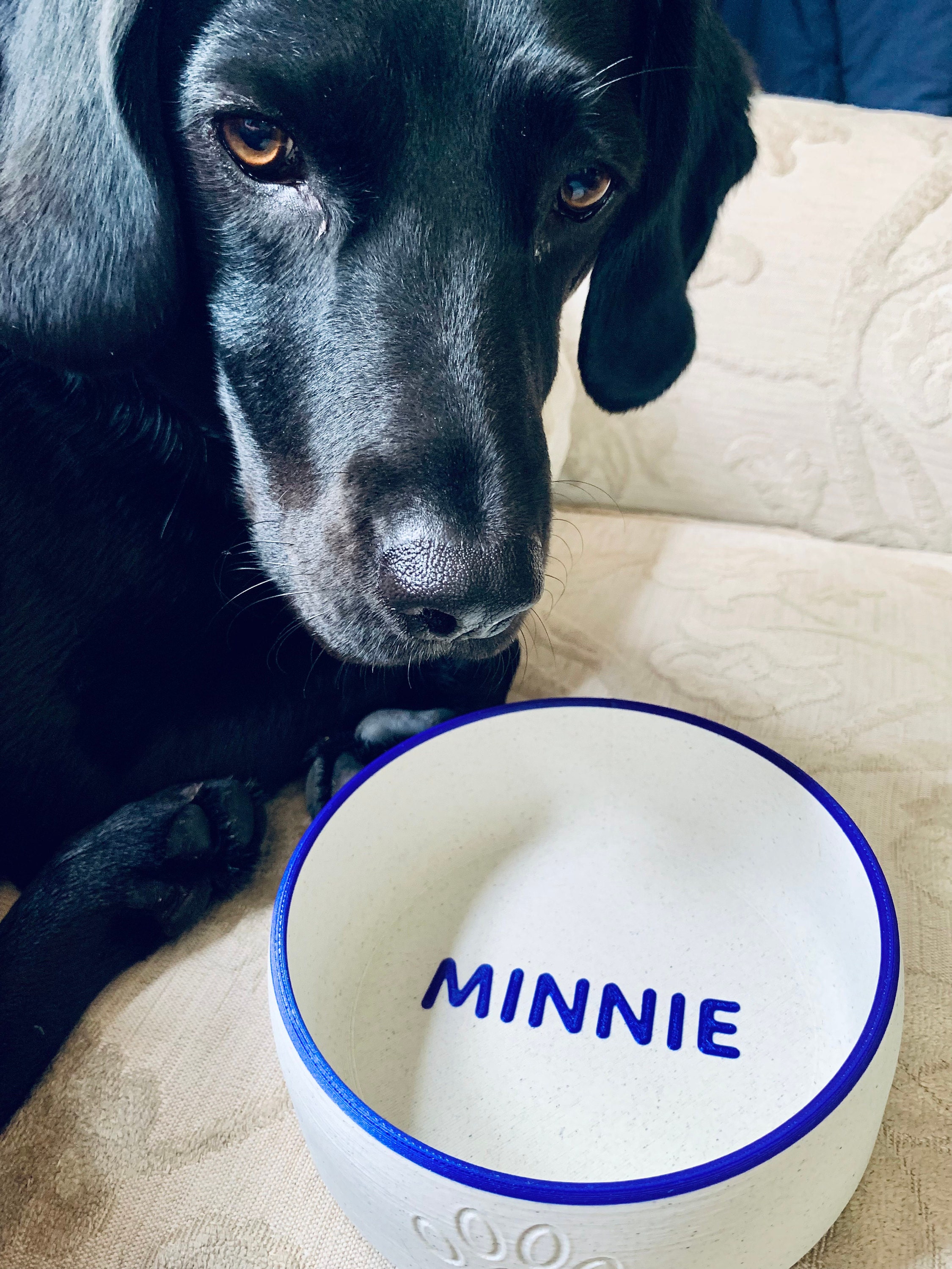Personalized Dog Bowl with Name