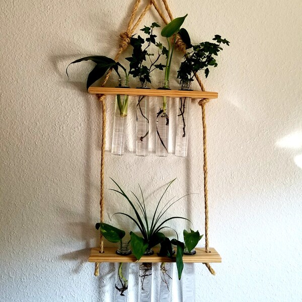 Hanging Propagation Station 8 Slot Live Plant Cutting Propagation Rope ...