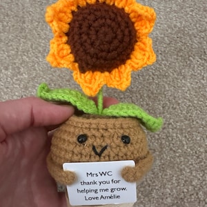 Cute 3PCS Plants,Thank You For Helping Me Grow,Crochet Sunflowers/Hearts/Rose Plants,Emotional Support Crochet,Thank You Gift,Teacher Gift