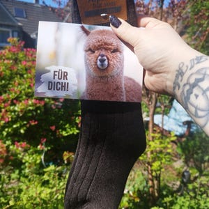 Fräulein ha añadido una foto de su compra