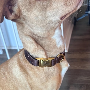 Olivia added a photo of their purchase